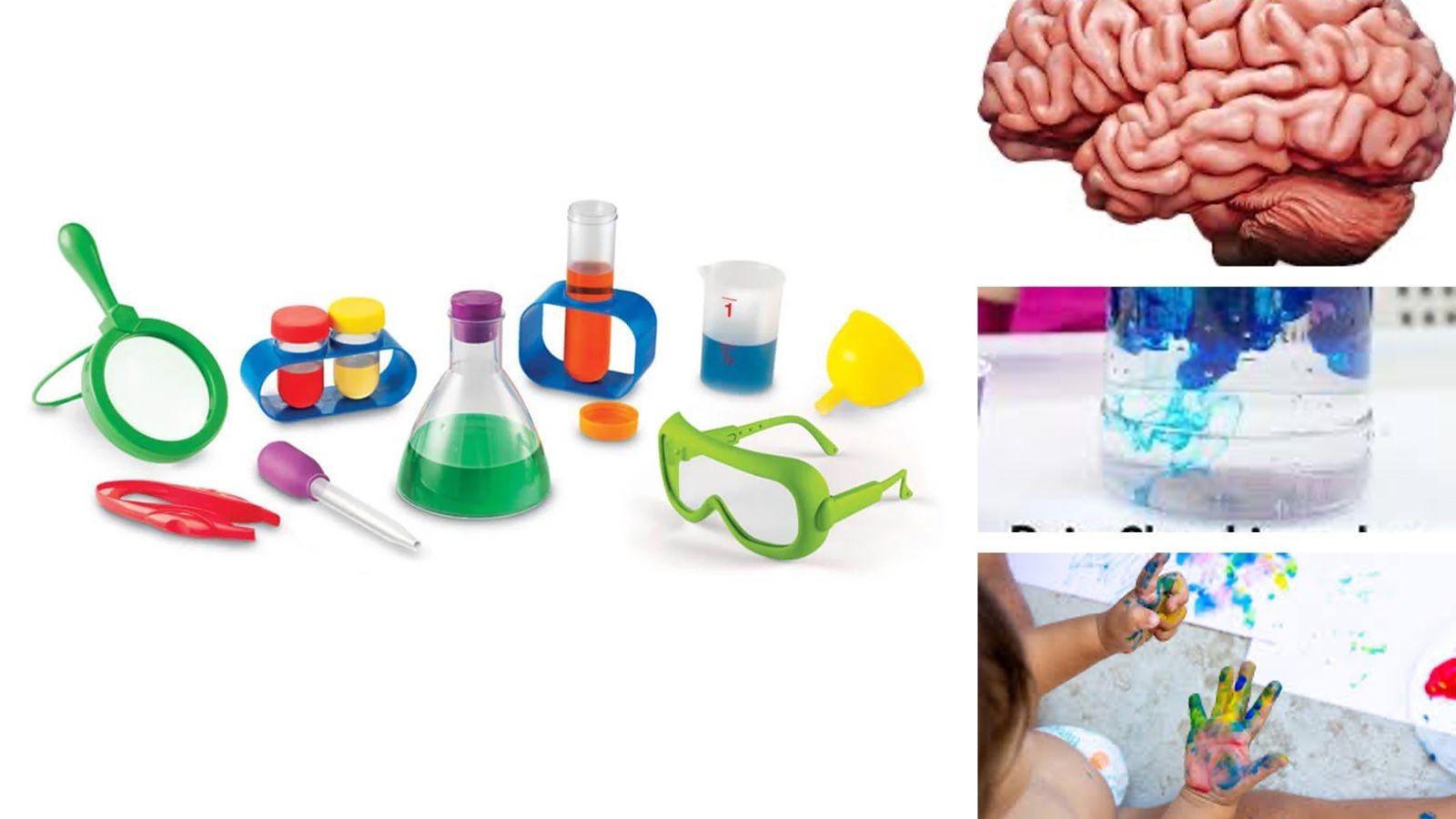 Building Little Brains – STEM and Creativity in the EYFS Curriculum
